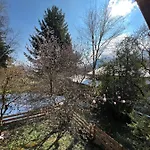 Apartament Zur Rose